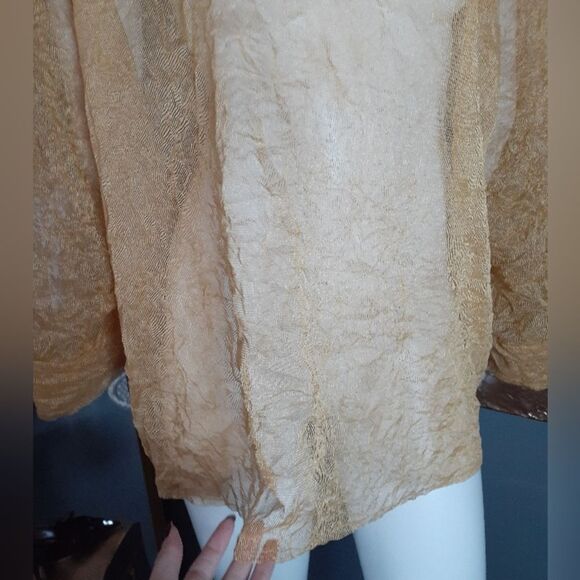 NWT Zara Elegant Gold Sheer Women's Top - Picture 15 of 16